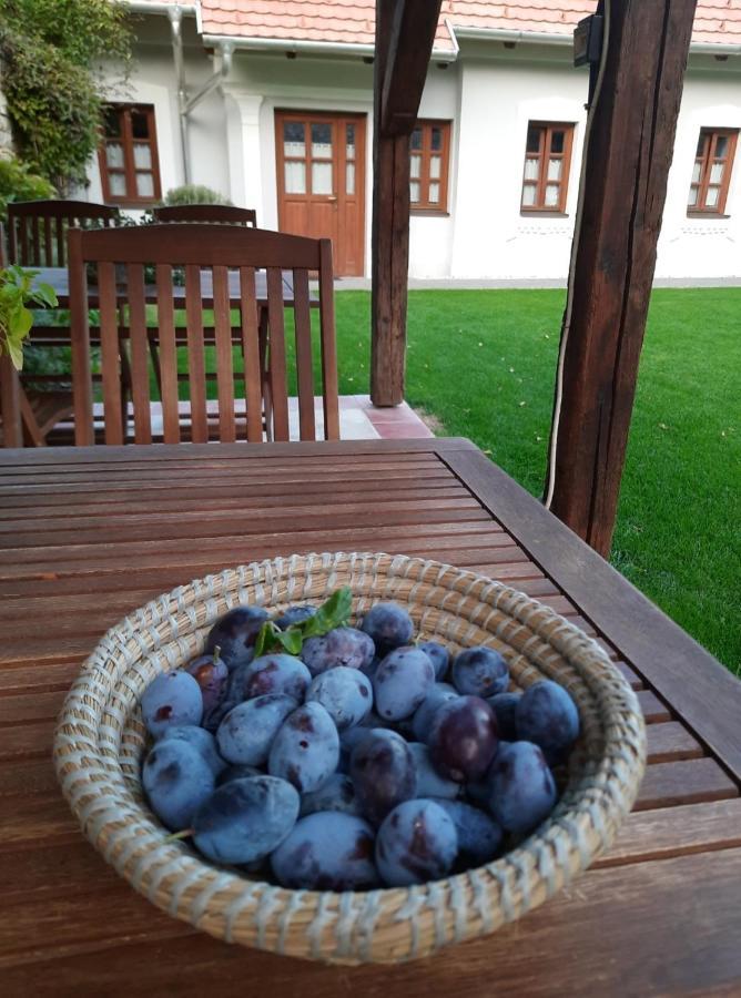 Aracsi Vendeghaz Hotel Balatonfured Exterior photo